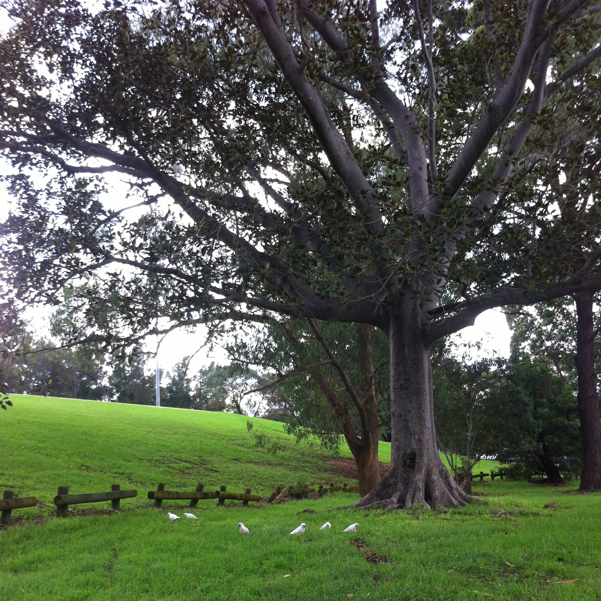 IMG_2064 - Version 2