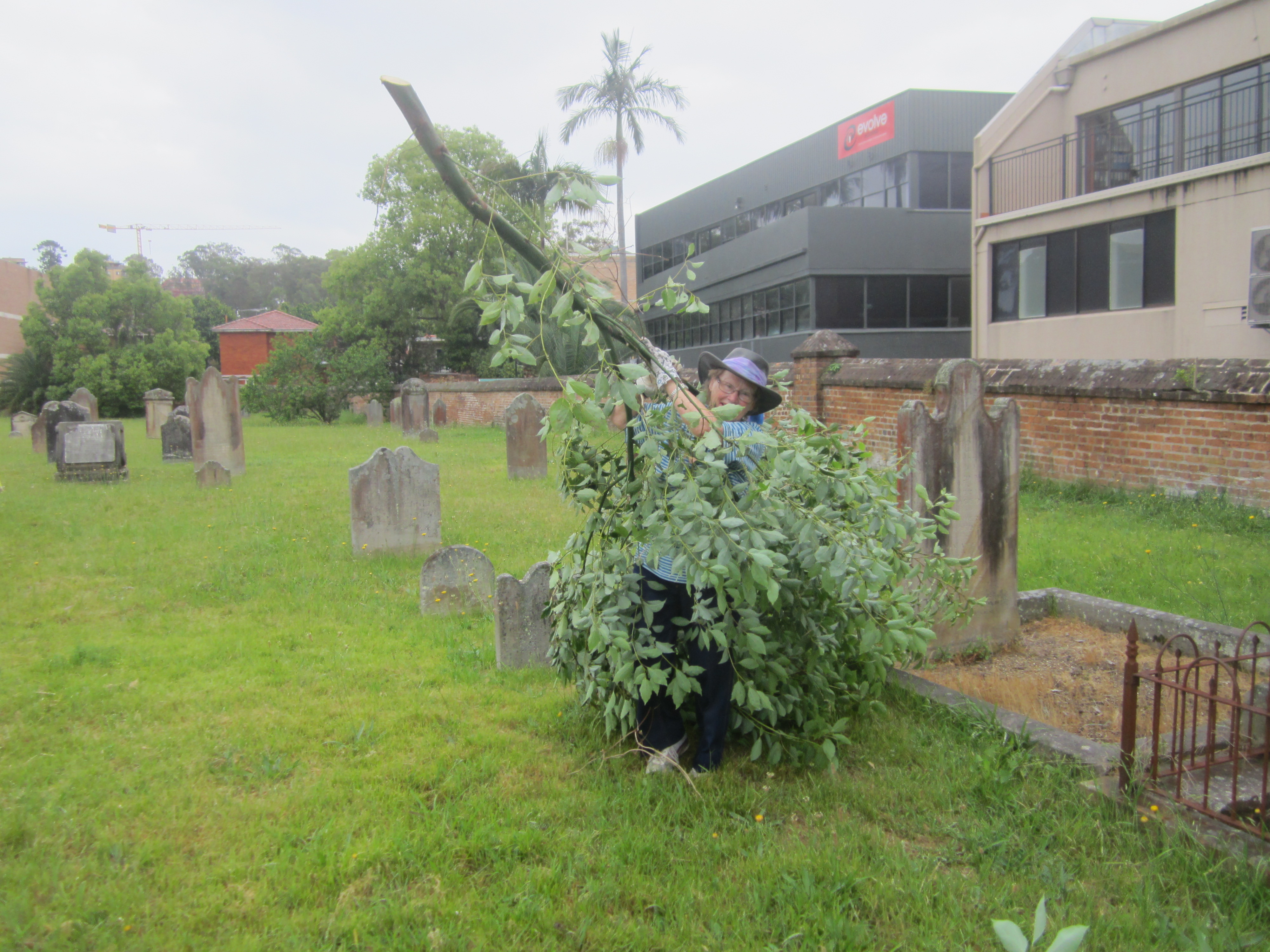 Working Bee, Saturday 29 October 2016. Photo: Judith Dunn
