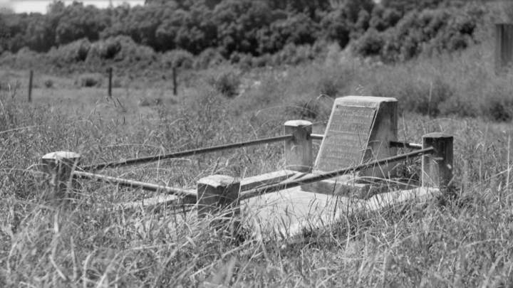 Eleanor Magee grave, Elinor Magee, Eleanor McCabe, Mary Magee, St. John's Cemetery Project, First Fleet, First Fleeter, Camellia, Parramatta, Old Parramattan