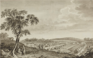 Fernando Brambila, Parramatta, April 1793, eighteenth-century Parramatta, eighteenth-century medicine, hospital, St. John's Cemetery Project, Old Parramattans, John Irving, Surgeon