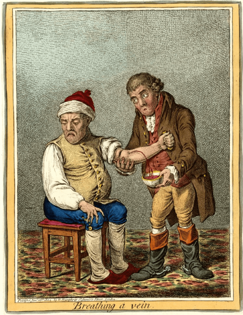 James Gillray, Bloodletting, Breathing a Vein, Eighteenth-Century Medicine, Nineteenth-Century Medicine, Medical History, Medical Treatment, St. John's Cemetery Project, Old Parramattans, John Irving